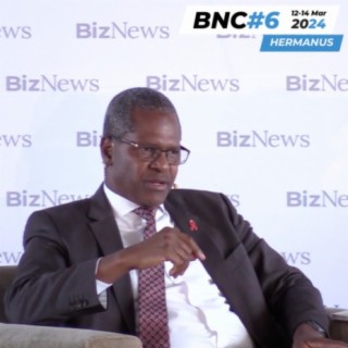 BNC#6: Hlabisa Q&A - ANC has proved a failure over 30 years, make your vote count in May