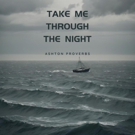 Take Me Through the Night