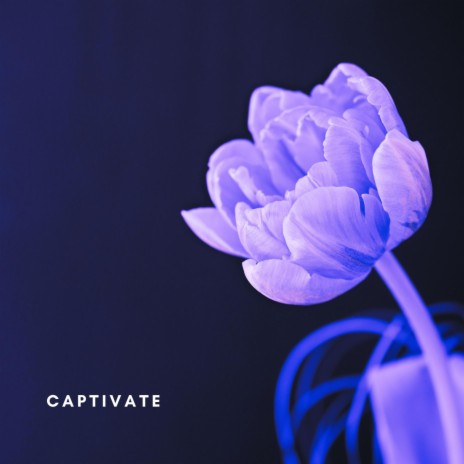 Captivate | Boomplay Music