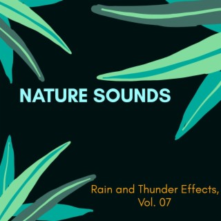 Nature Sounds - Rain and Thunder Effects, Vol. 07