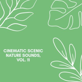 Cinematic Scenic Nature Sounds, Vol. 11