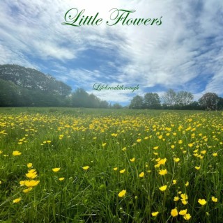 Little Flowers In The Rain (Instrumental Version)
