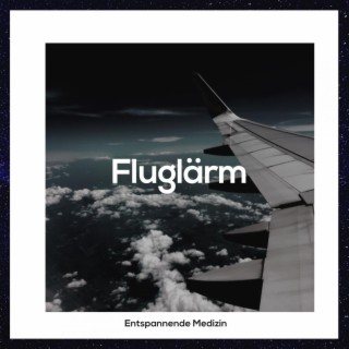 Fluglärm