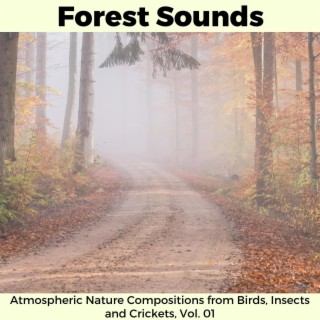 Forest Sounds - Atmospheric Nature Compositions from Birds, Insects and Crickets, Vol. 01