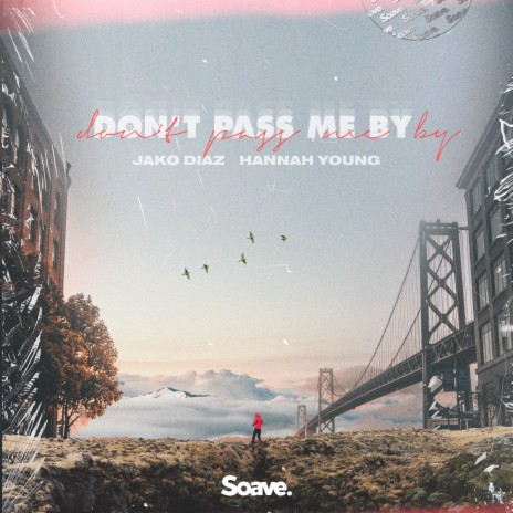 Don't Pass Me By ft. Hannah Young | Boomplay Music