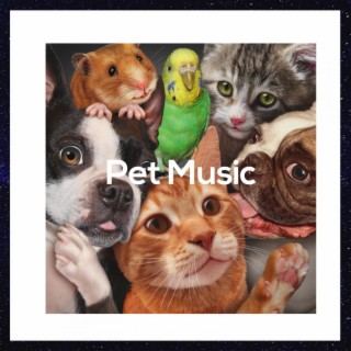 Pet Music