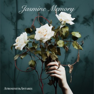 茉莉回忆 Jasmine Memory lyrics | Boomplay Music