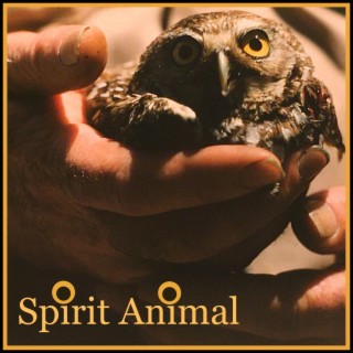 Spirit Animal lyrics | Boomplay Music