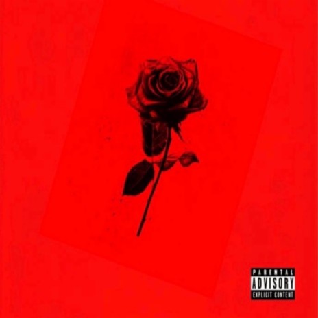 Roses | Boomplay Music