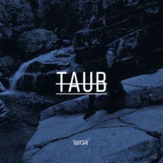 Taub (Jladder Remix)
