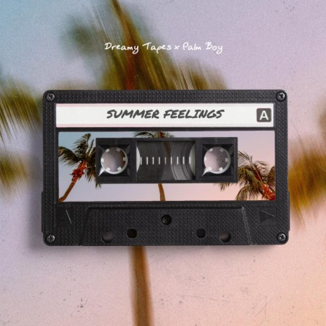 Summer Feelings ft. Palm Boy