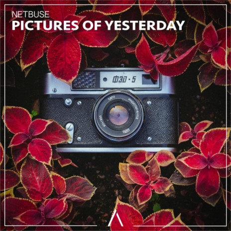 Pictures of Yesterday | Boomplay Music