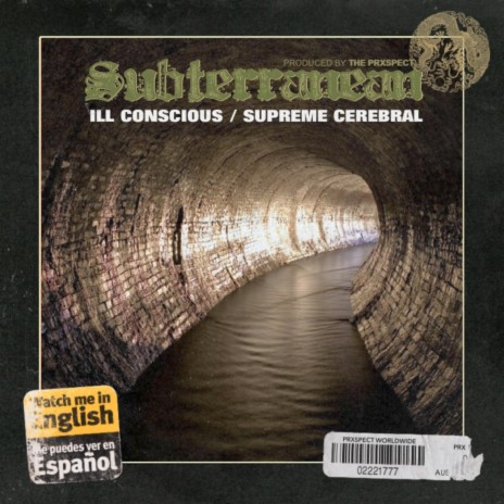 Subterranean (feat. Supreme Cerebral) | Boomplay Music
