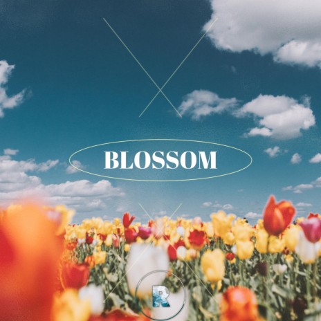 Blossom (Live) | Boomplay Music