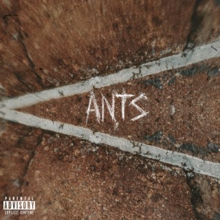 Ants