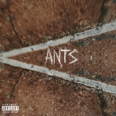 Ants | Boomplay Music