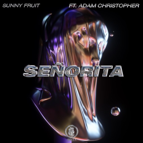 Señorita (feat. Adam Christopher)
