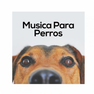 Musica Para Perros