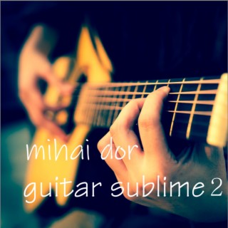 sublime guitar 2