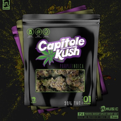 Capitole Kush | Boomplay Music