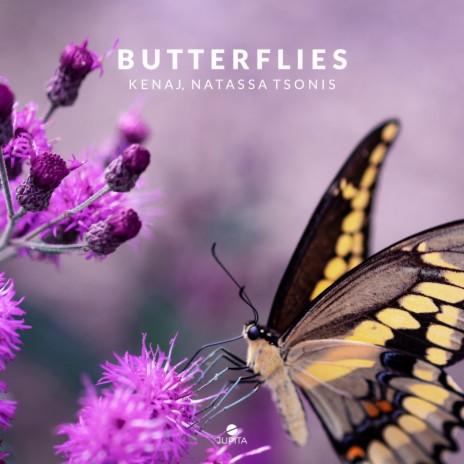 Butterflies ft. Natassa Tsonis | Boomplay Music