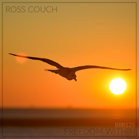 Freedom Within (Radio Edit) | Boomplay Music