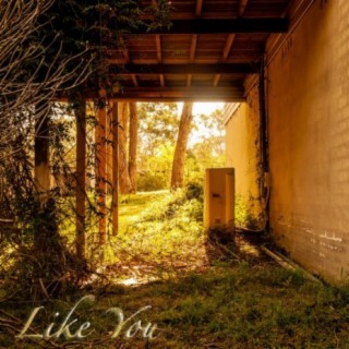 Like You (feat. Emily Searle, Ryan Clarke & Jesse Malek)