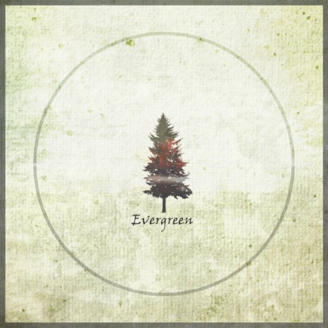 Evergreen | Boomplay Music