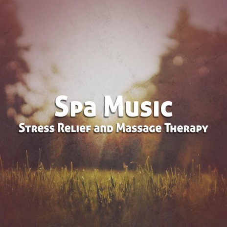 Spa Music for Relaxation ft. Tranquility Spree & Dreams of Dreams