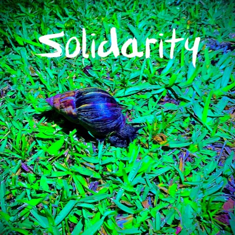 Solidarity (edit) | Boomplay Music