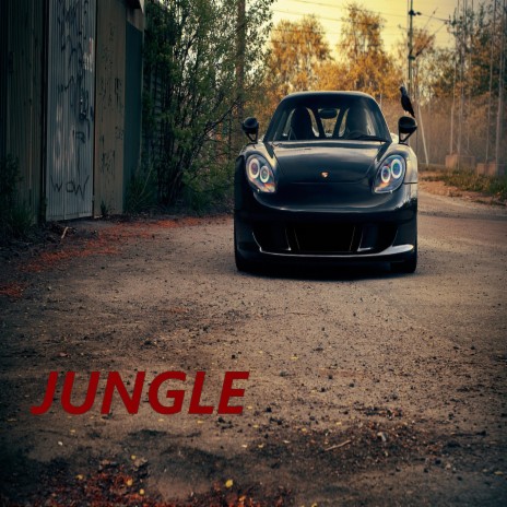 Jungle (Radio Edit) ft. Furkan Soysal