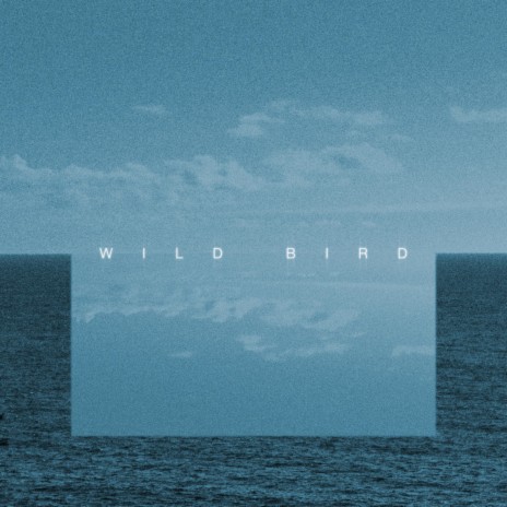 Wild Bird | Boomplay Music