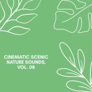 Cinematic Scenic Nature Sounds, Vol. 08