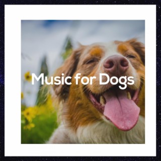 Relaxing Music for Dogs: Soothing Music for Dogs