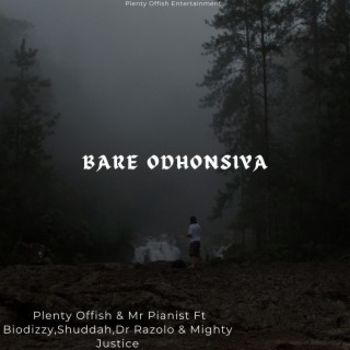 Bare Odhonsiya