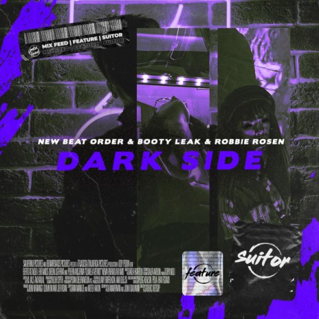 Dark Side ft. BOOTY LEAK & Robbie Rosen | Boomplay Music