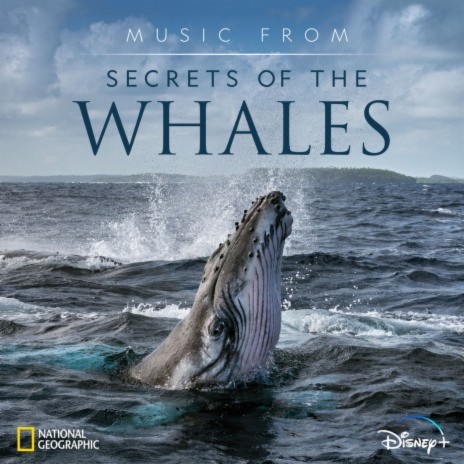 Hope (From "Secrets of the Whales"/Score) | Boomplay Music