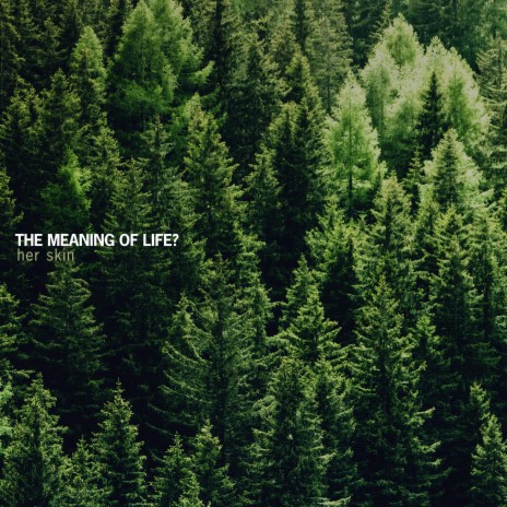 The meaning of life? ft. Martin Arteta & 11:11 Music Group | Boomplay Music