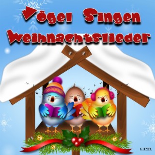 Vögel singen weihnachtslieder