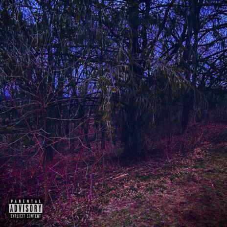 the woods. | Boomplay Music