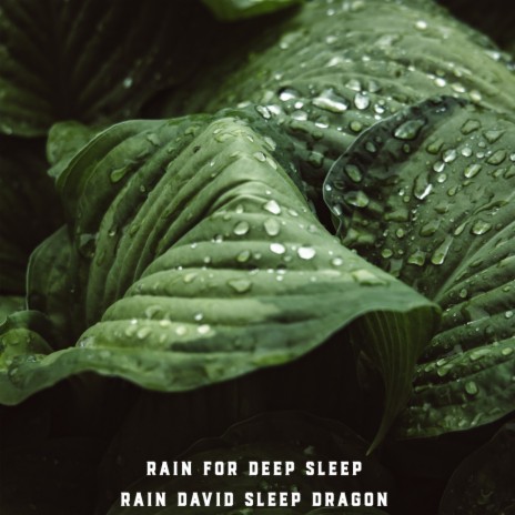 Intense Rainfall for Sleeping