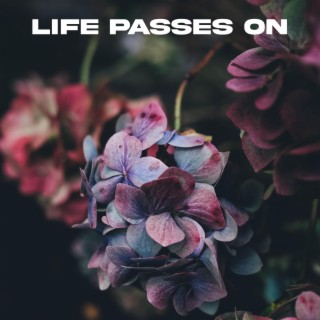 life passes on