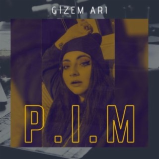 Gizem Arı