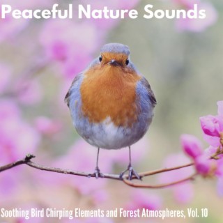 Peaceful Nature Sounds - Soothing Bird Chirping Elements and Forest Atmospheres, Vol. 10