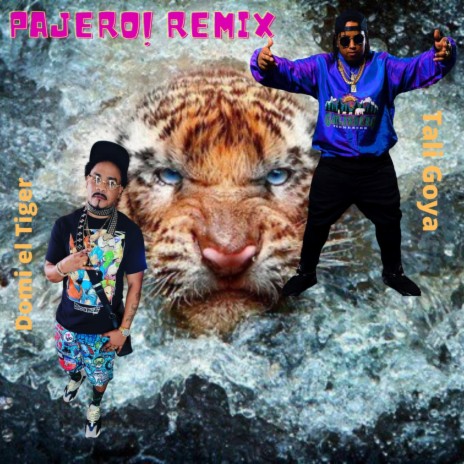 Pajero Remix (Remix) | Boomplay Music