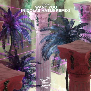 Want You (Nicolas Haelg Remix)