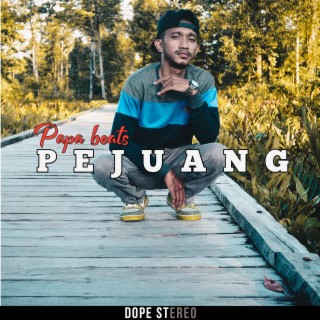 Pejuang