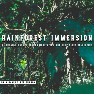 Rainforest Immersion - a Loopable Nature Sounds Meditation and Deep Sleep Collection
