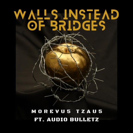 Walls Instead Of Bridges | Boomplay Music