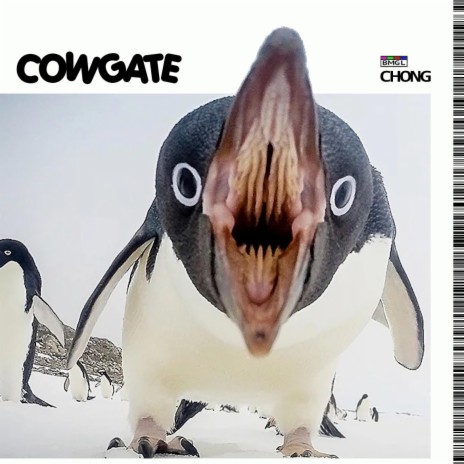 COWGATE | Boomplay Music